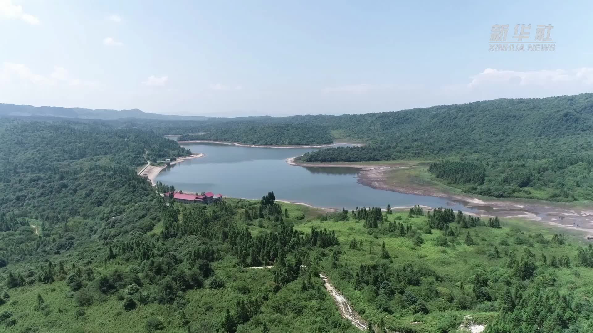 开花的乌蒙山珙桐和它的“邻居们”