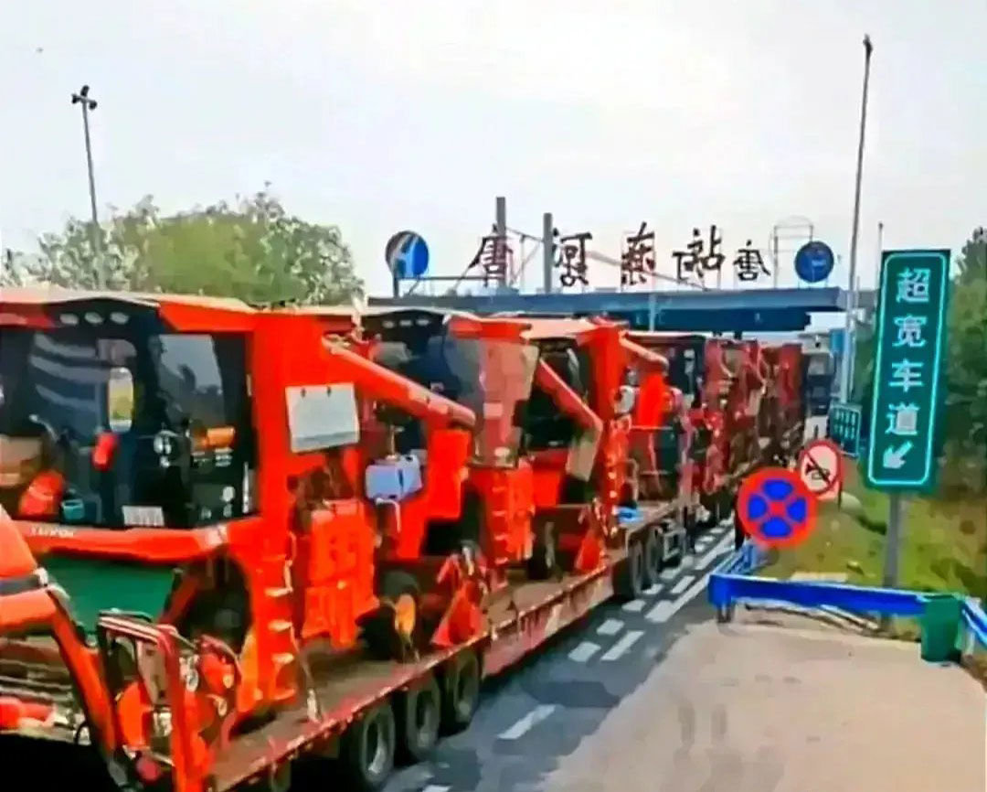 唐驳虎:麦收时节频降雨,背后是小麦在中国的“水土不服”