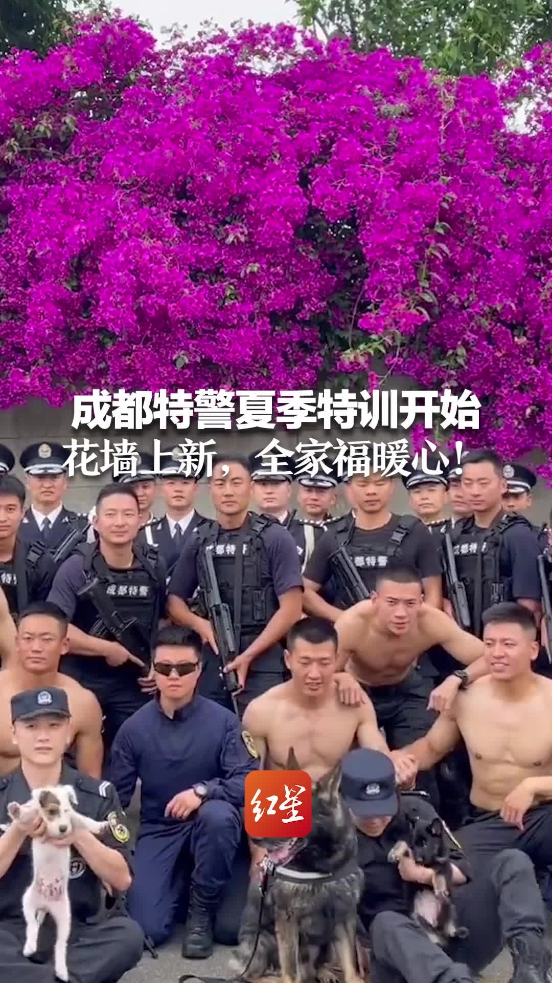 成都特警夏季特训开始，花墙上新，全家福暖心