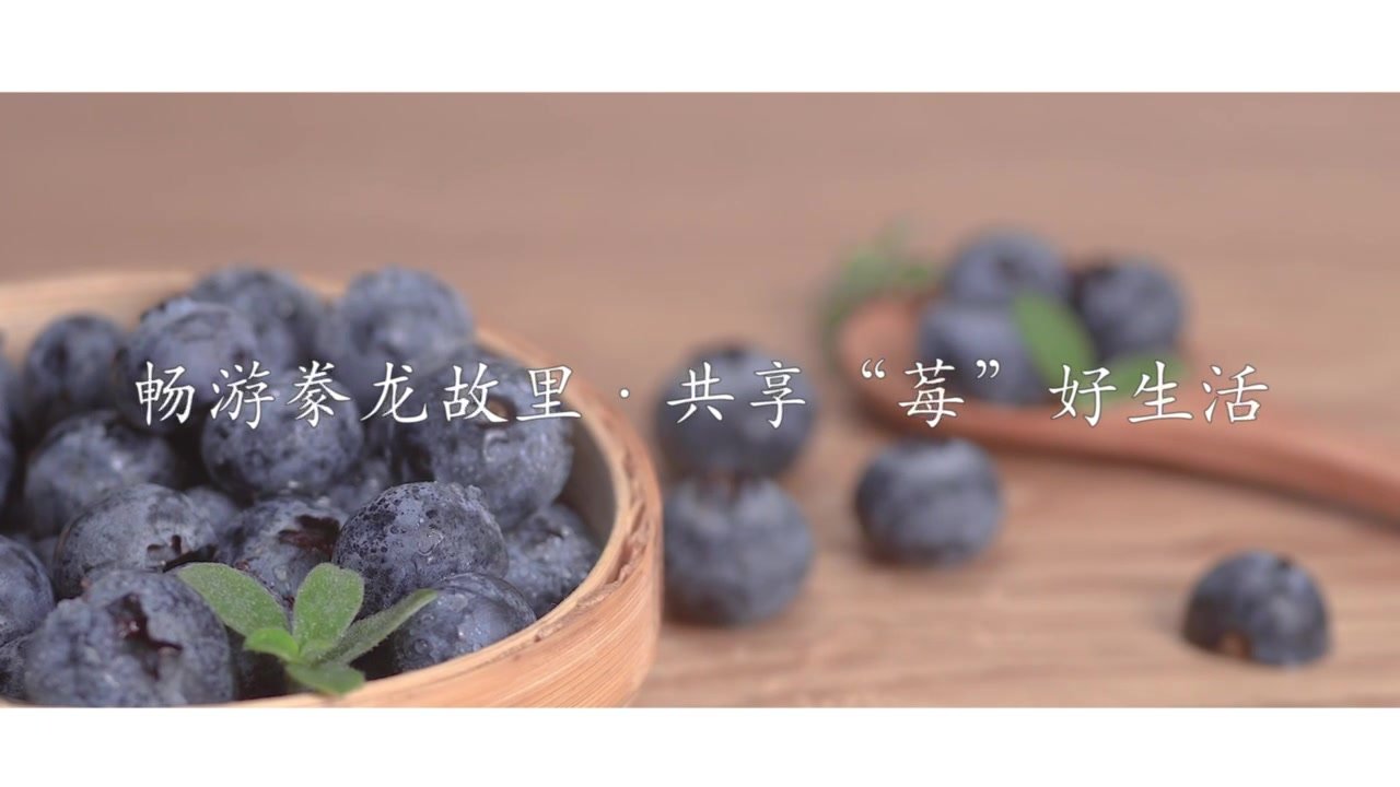 畅游豢龙故里 共享“莓”好生活