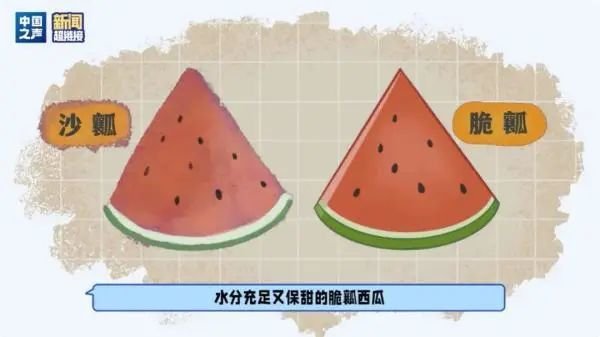 18元一斤，西瓜为啥贵了？