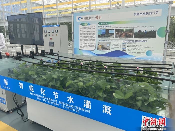 图为自动化节水灌溉系统展示。 中新网记者 甘甜 摄