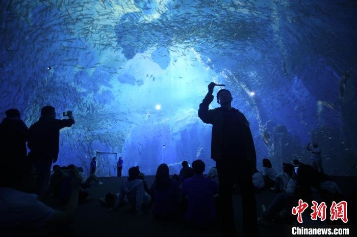 现场观众仿佛置身海底世界。 蔡亚群 摄