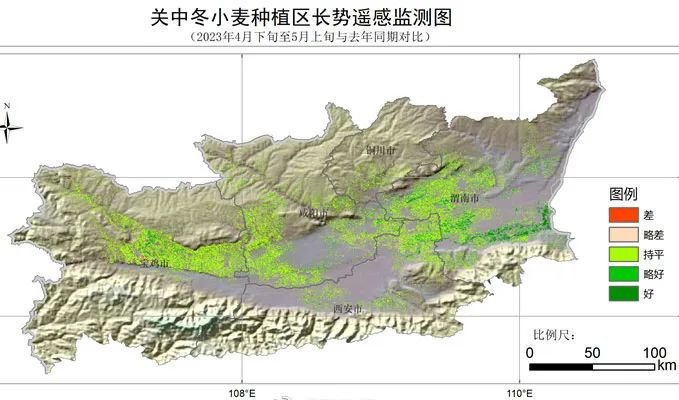 唐驳虎:麦收时节频降雨,背后是小麦在中国的“水土不服”