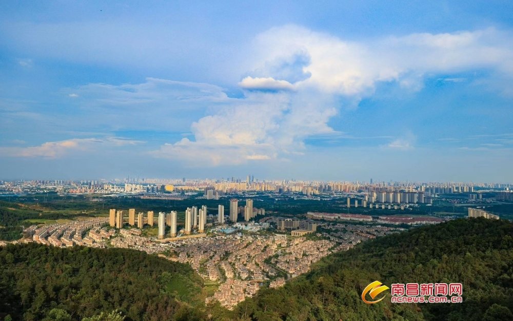 南昌：登高梅岭 尽览盛景（图）