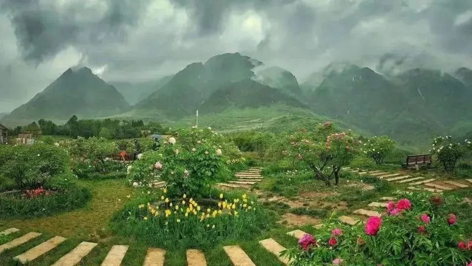 ▲南屏山下的易寿天成牡丹小镇