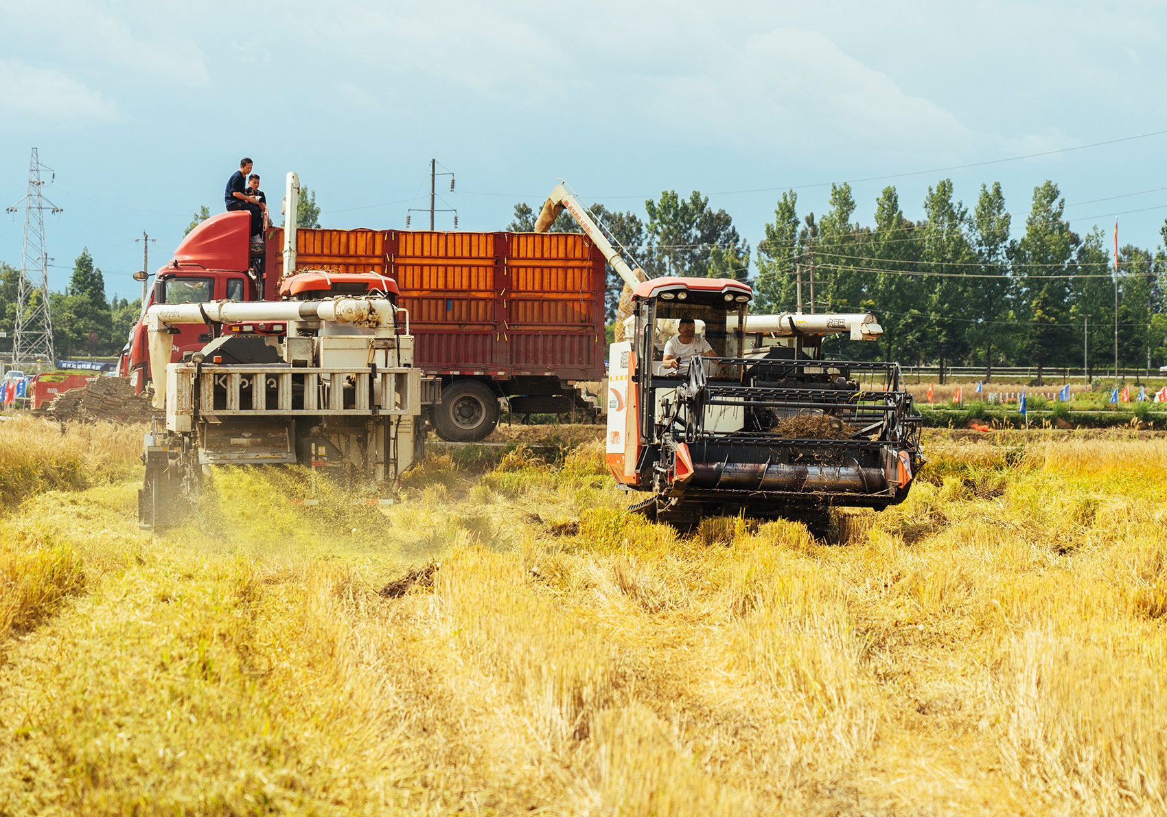 小麦收割机收割小麦（图片来源：每经记者 张建 摄）