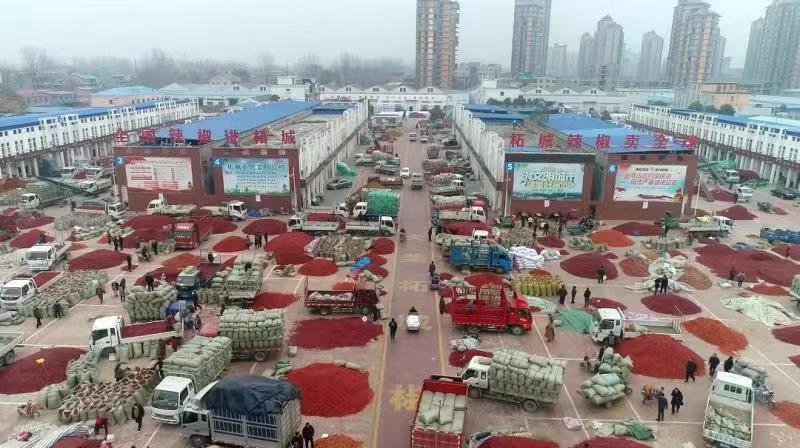 柘城县:创建国家级现代农业产业园 激活全面推进乡村振兴新动能