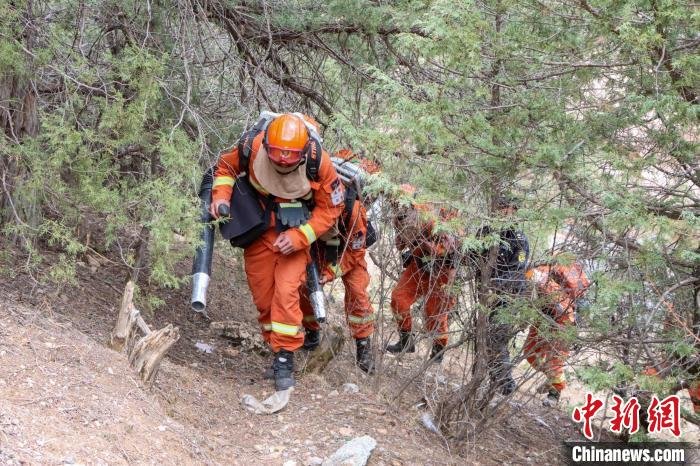 图为森林消防在芒康县林区进行防火踏查。 姚天锐 摄