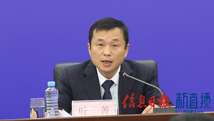 国网江西省电力有限公司发展部副主任叶菁