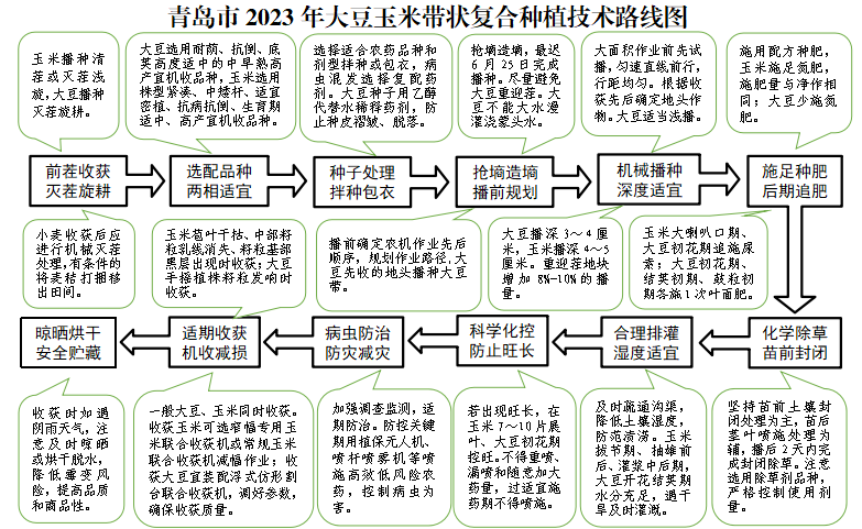 全市大豆玉米带状复合种植播种机械现场演示观摩会成功举办