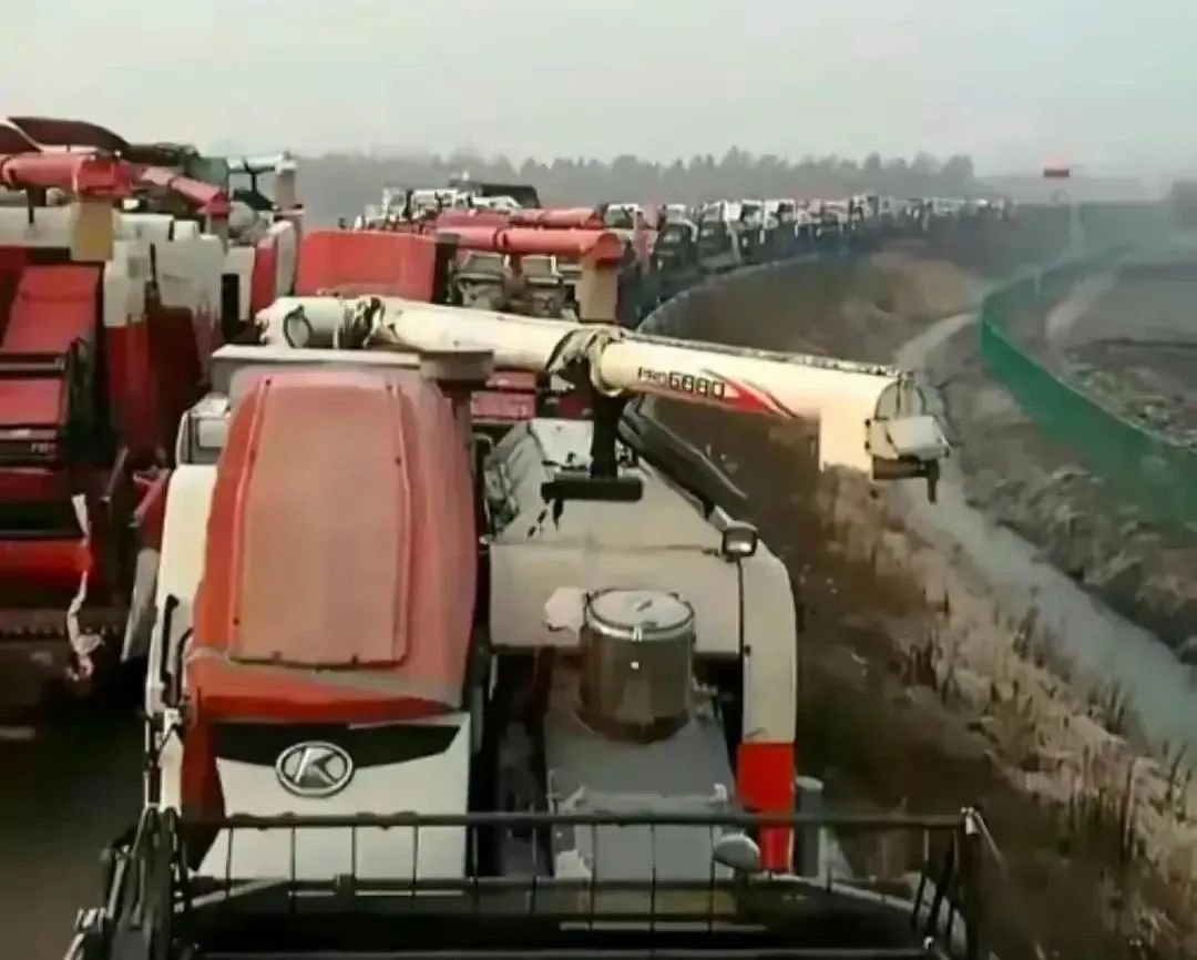 唐驳虎:麦收时节频降雨,背后是小麦在中国的“水土不服”