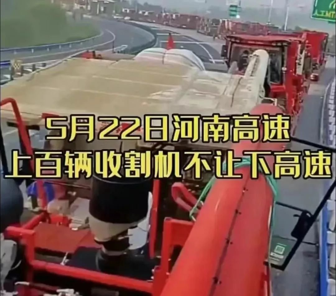 唐驳虎:麦收时节频降雨,背后是小麦在中国的“水土不服”