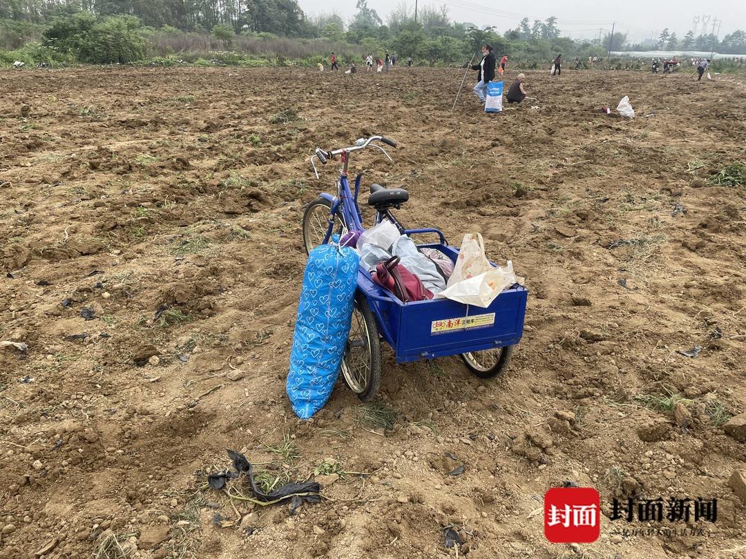 还原“东北大哥称成都村民哄抢土豆”事件：涉事公司负责人回应