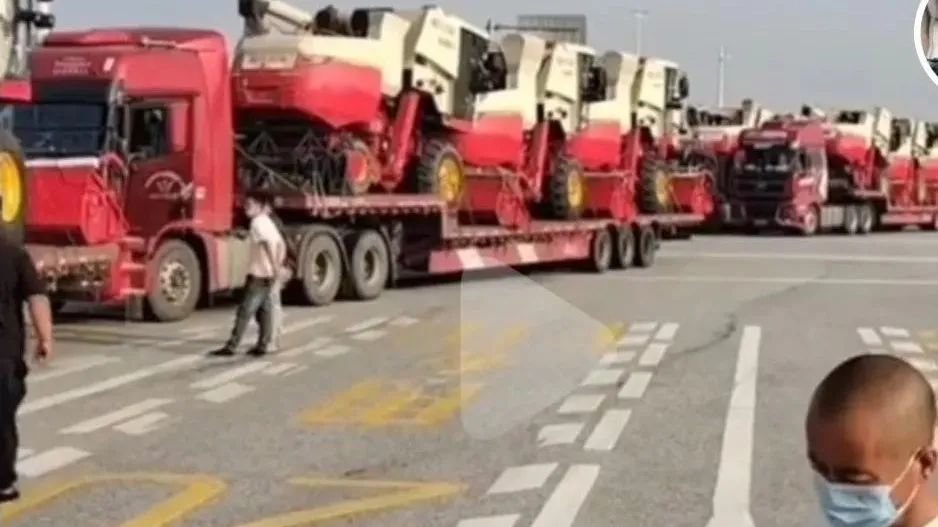 唐驳虎:麦收时节频降雨,背后是小麦在中国的“水土不服”