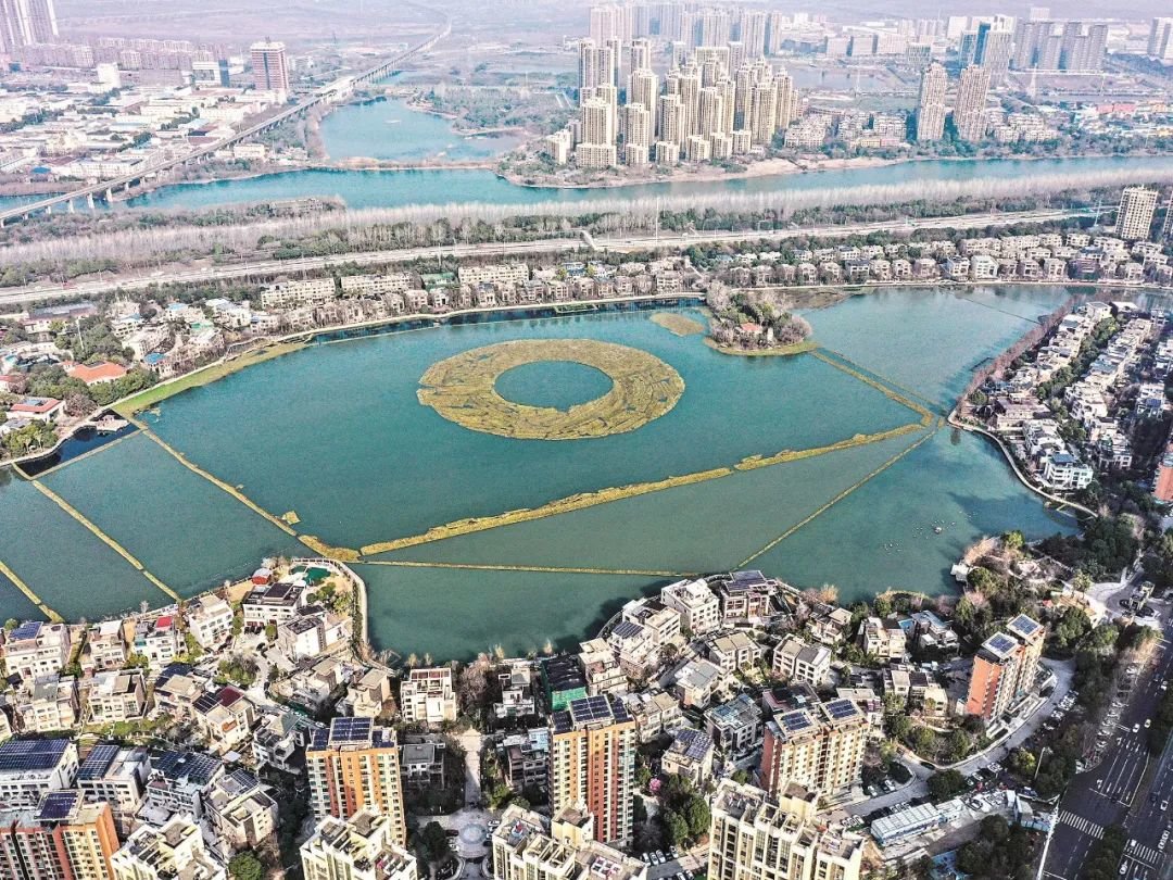 武汉18个河湖上榜“美丽河湖”优秀案例 看完立马爱上