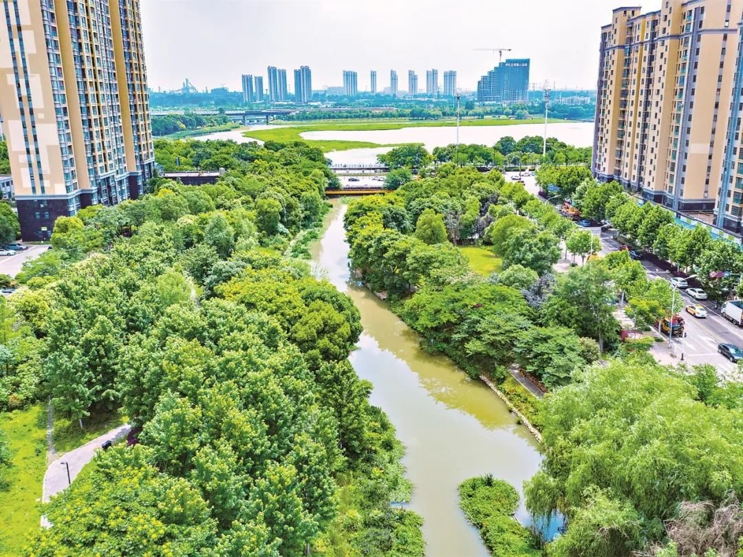 武汉18个河湖上榜“美丽河湖”优秀案例 看完立马爱上