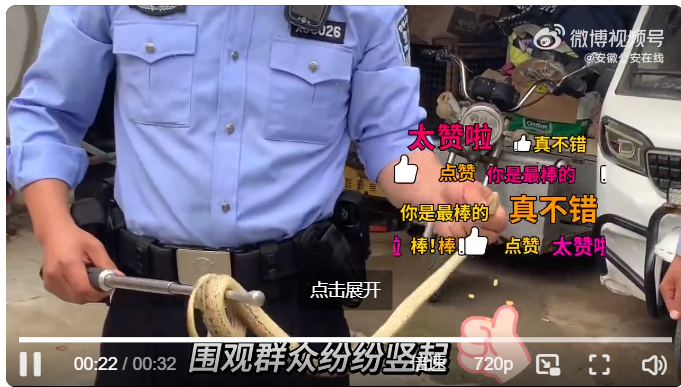 淮北烈山：民警捉蛇记变成救蛇记