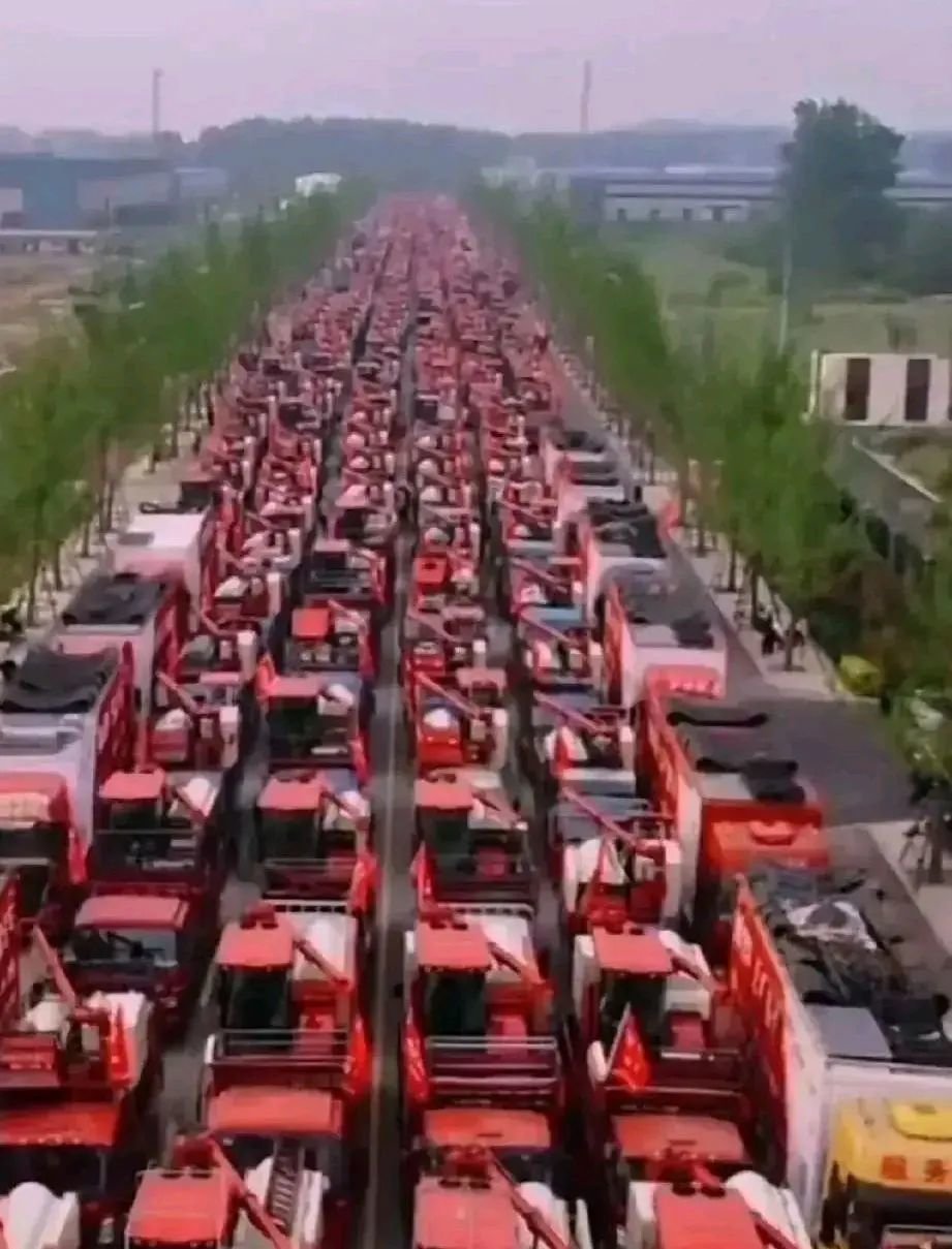 唐驳虎:麦收时节频降雨,背后是小麦在中国的“水土不服”