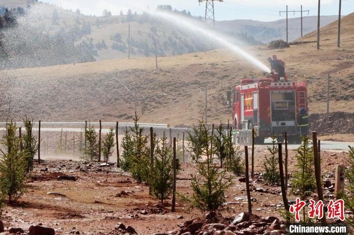 森林消防参加驻地植树活动。 姚天锐 摄