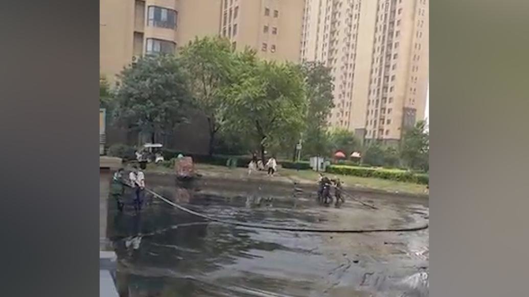 菏泽一小区水池里发现鳄鱼？物业：谣言，系定期清理淤泥