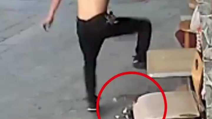怀孕猫咪被陌生男子狠踩一脚，痛苦挣扎30秒后断气