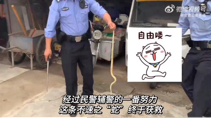 淮北烈山：民警捉蛇记变成救蛇记