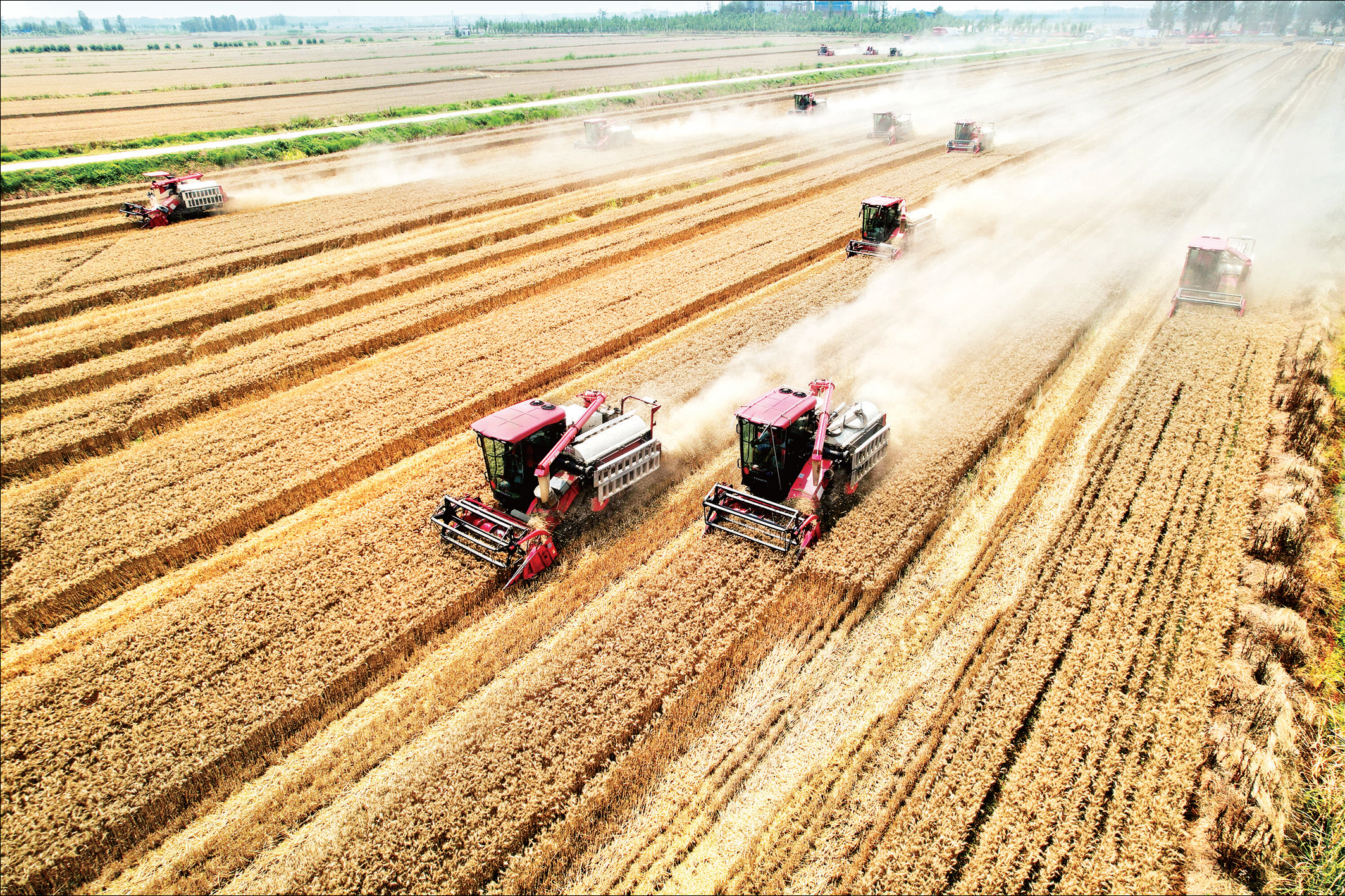 6月1日，2023年全省小麦机收减损技能大比武（阜南）在阜南县阜蒙农场举行。图为大比武活动现场。