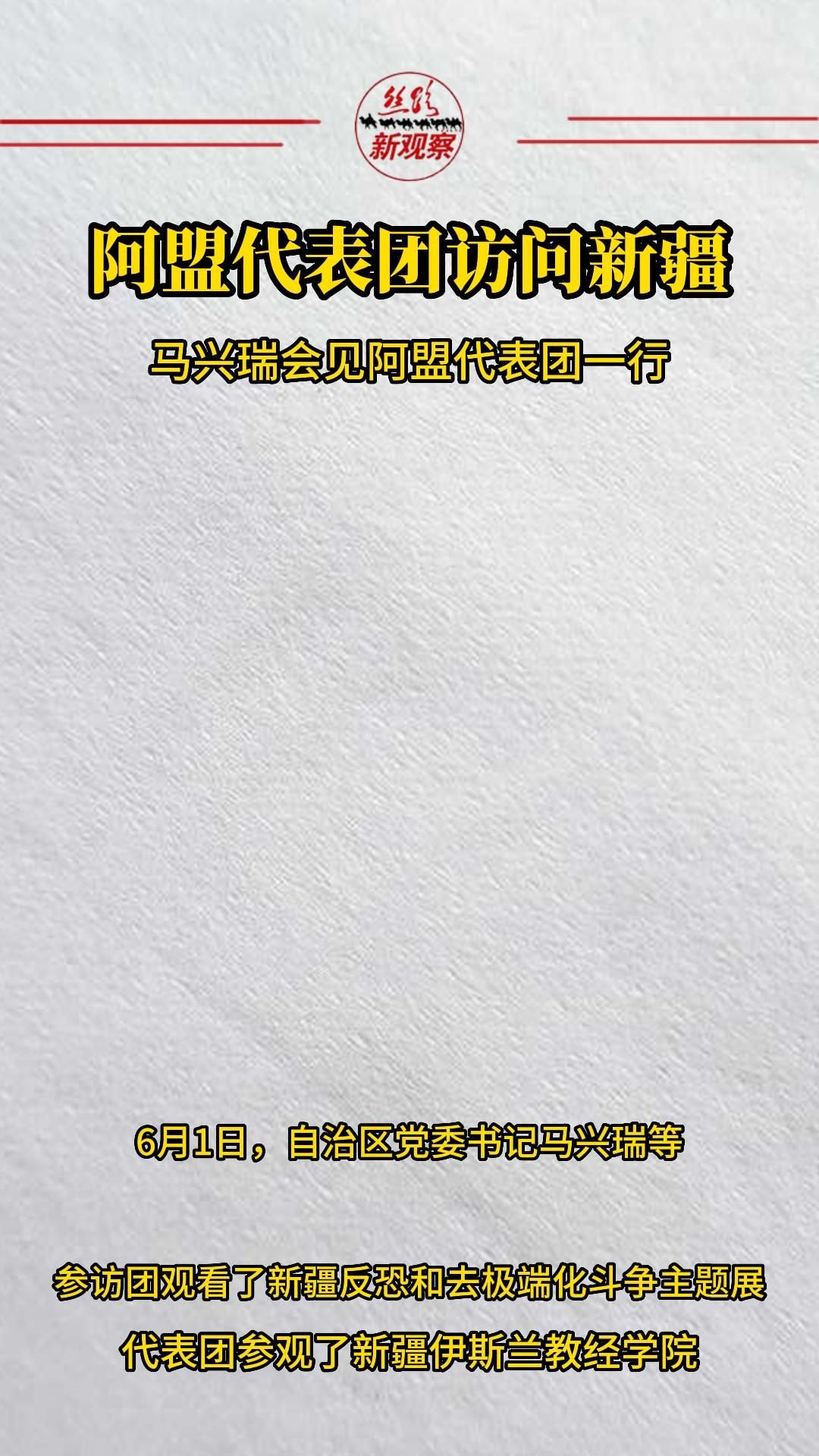 阿拉伯国家联盟代表团参访新疆  #新疆