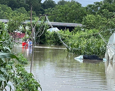 
武汉黄陂突遭暴雨 他们全力解救被困村民
