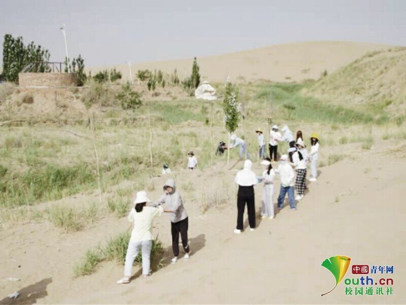 图为实践成员在传递水源浇灌梭梭树 中国青年网通讯员 洪喆 供图