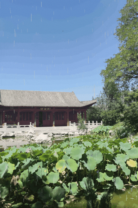 一半烟雨一半诗意！大雨落下，带来了袅袅水雾里的“避暑秘境”！