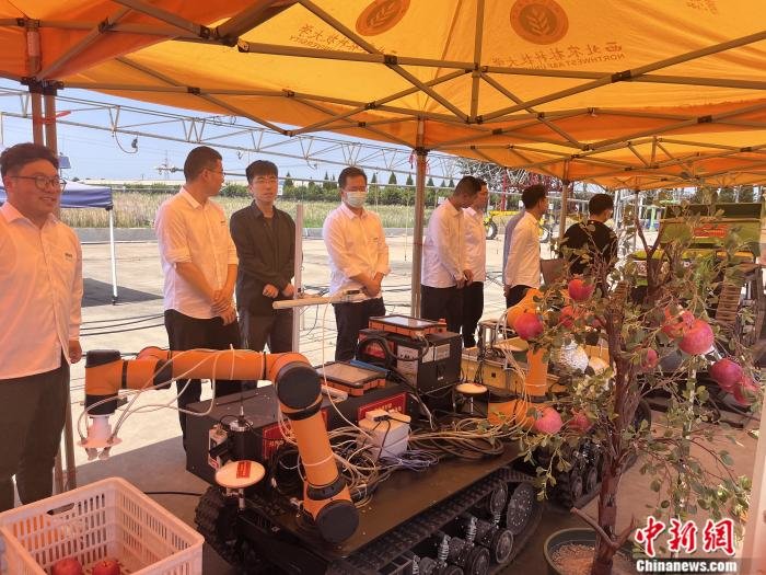 图为双臂采摘机器人展示。 中新网记者 甘甜 摄