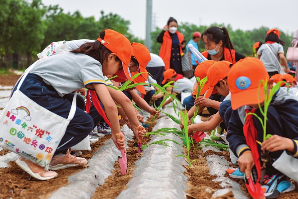 5月31日，山西省实验小学二年级开展“最美童年六‘悦’天 田间地头@你”研学体验课程。本报记者史晓波摄