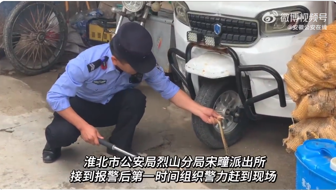 淮北烈山：民警捉蛇记变成救蛇记