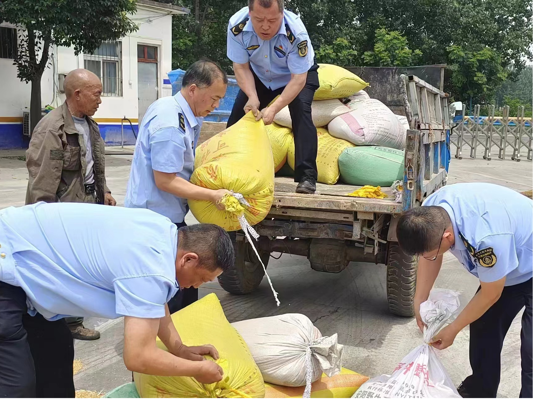 (安阳许家沟超限检测站交通执法人员帮助农民搬粮晒粮)