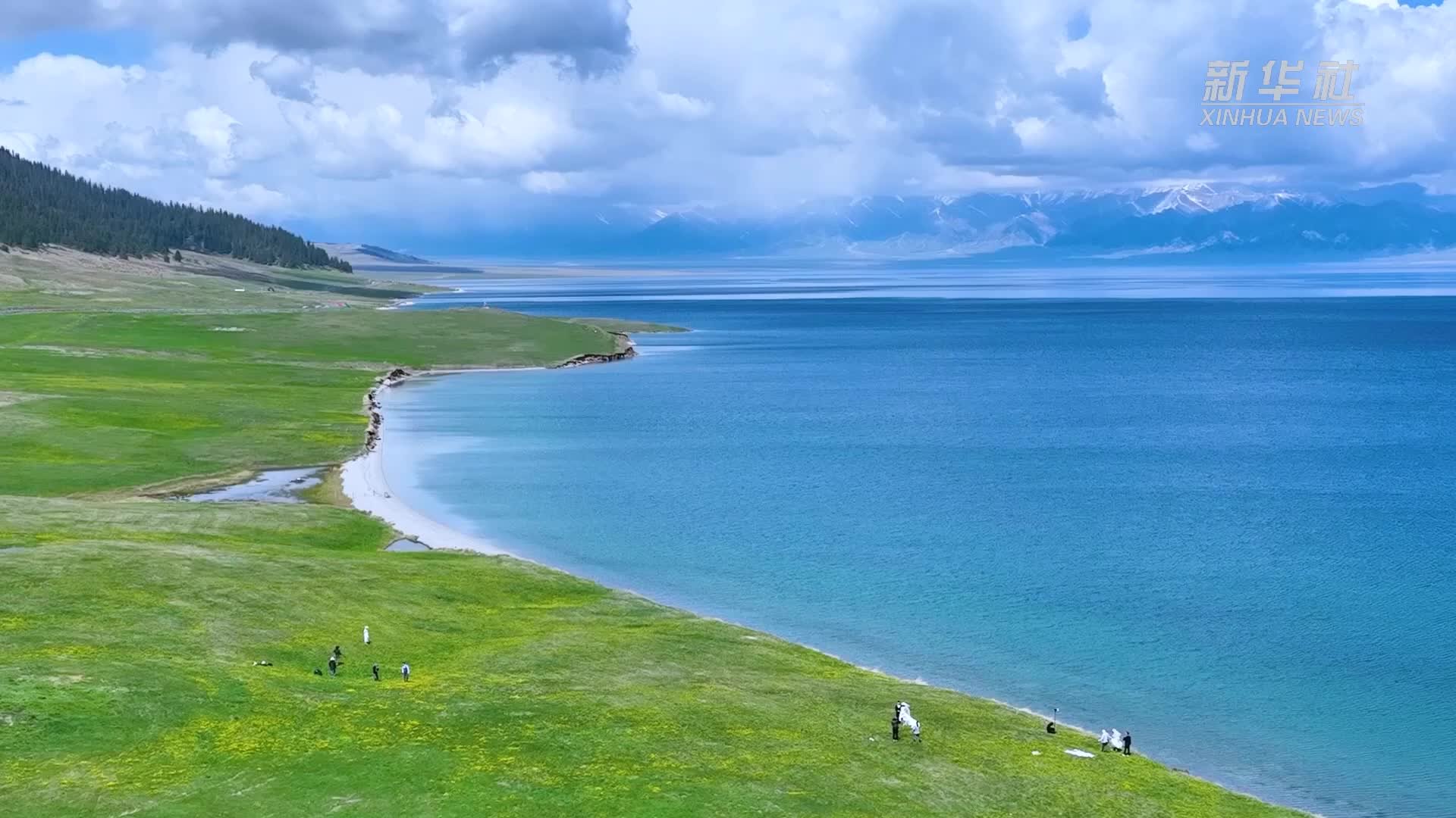 千城胜景｜山河博州·赛里木湖花季