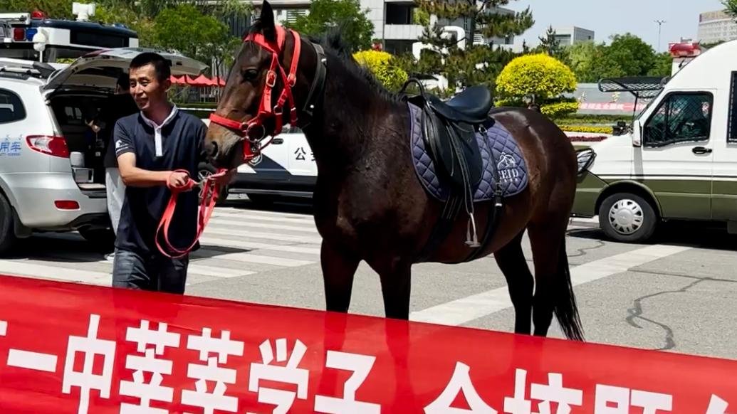 内蒙古一家长骑马为儿子送考：希望他马到成功