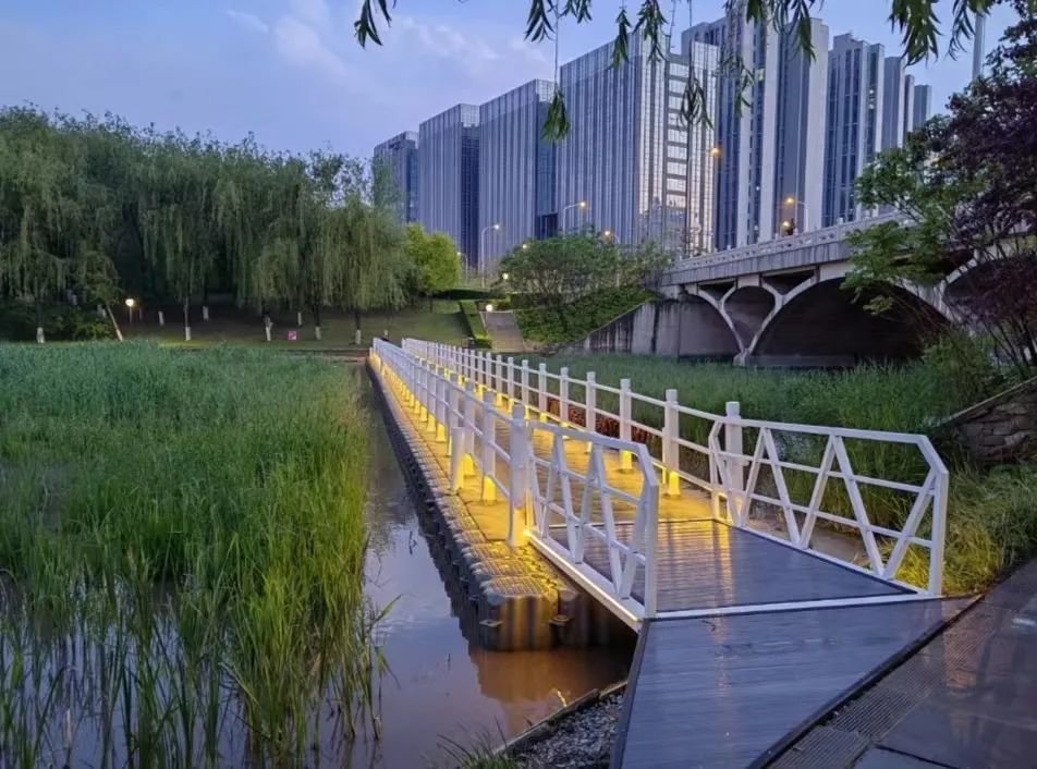 浮桥夜景 公园供图