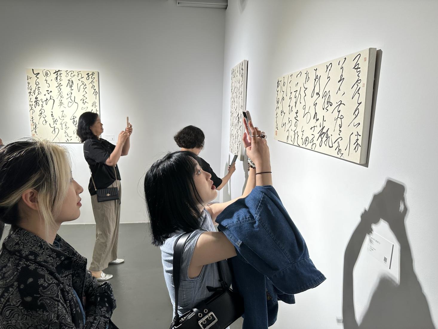 市民观展现场 供图 苏州美术馆