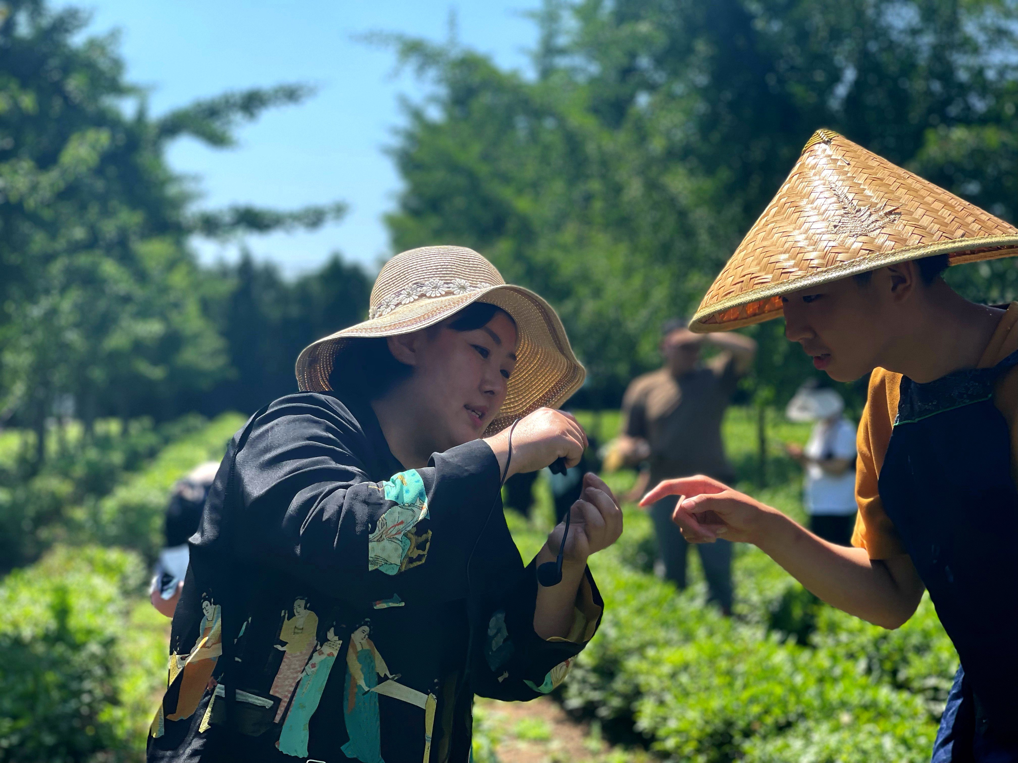 研学活动中，学生们首先在莲花山运动公园进行了“重走新时代长征路”红色教育活动，依托骑行道上造型别致的红色教育景观小品和游览路线设置了多个知识问答游戏点位，既加强了孩子们和家长沟通合作，又让红色教育充满趣味性。在瑞草园茶业基地，学生们参观茶文化博物馆，认识茶树品种、茶区分布、十大名茶和茶具、炒茶模型机、采茶篓、龙井锅、摇青机等农耕文化器具，体验采茶、炒茶、品茶，体会饱含中国传统文化的茶艺表演，参加乡村振兴大讲堂开展的茶文化知识讲座，深刻感受茶文化的内涵，进一步感受茶文化的魅力。