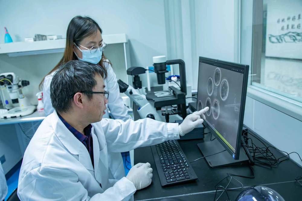 中国农业科学院兰州畜牧与兽药研究所博士岳耀敬和团队成员讨论羔羊体外胚胎发育实验。记者 郎兵兵 摄
