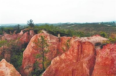 未治理前的崩岗。赣县区水土保持中心供图