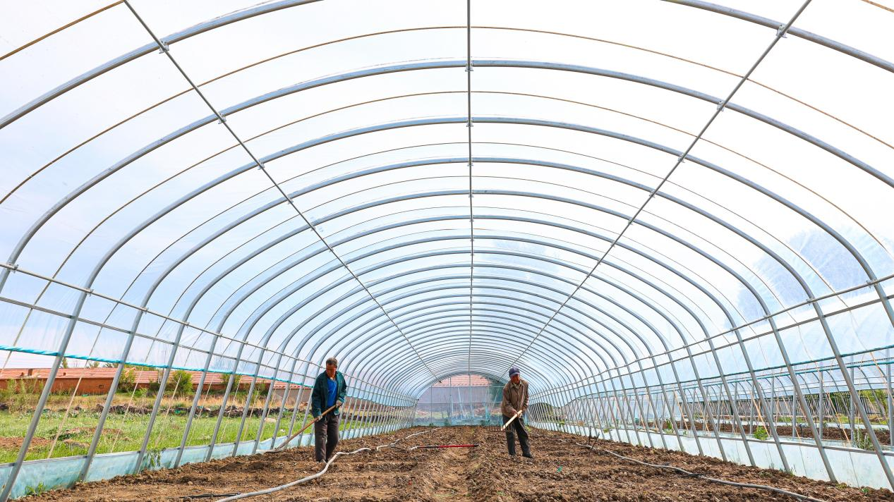 体育力量带来的乡村蝶变 公益体彩助力河北乡村振兴媒体行第三站