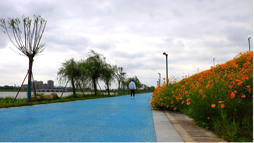 拉网式排查水域安全设施