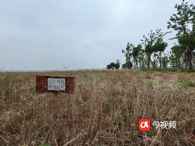 油菜地内提示已打农药