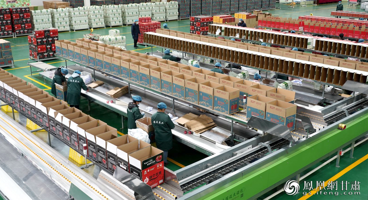 现代化生产线分拣苹果 静宁县委宣传部供图