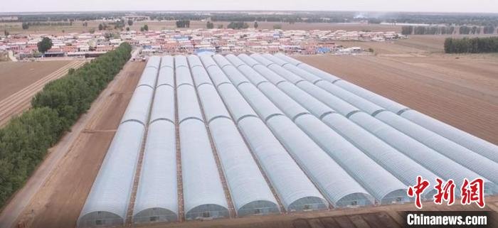 图为航拍孟家屯村香瓜基地。　毕乐陶 摄