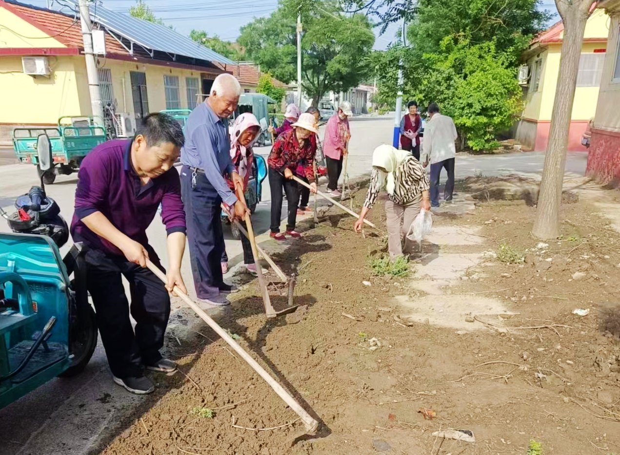 农村人居环境‖“脏乱差”变“净绿美”!青岛清除农村环境卫生死角,扮靓人居环境