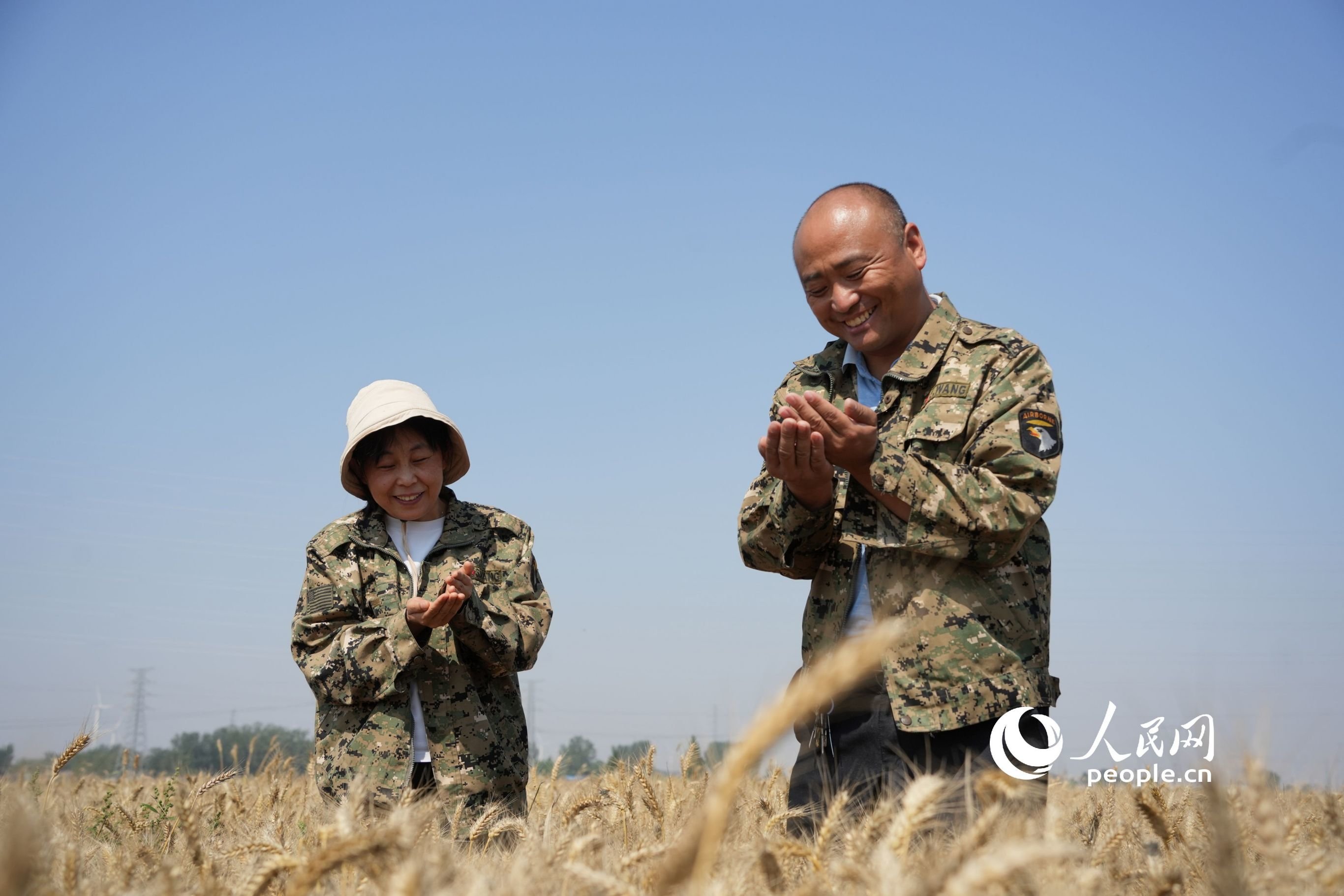 麦浪滚滚，满目金黄，农民查看即将收获的小麦。人民网记者 王天乐摄